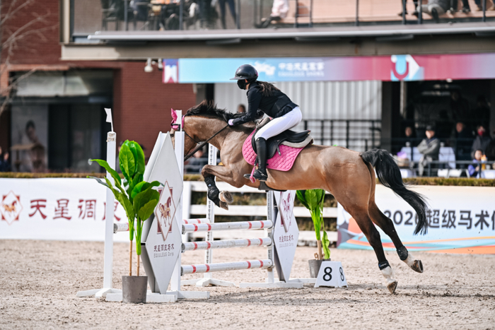 开云App-联赛专访｜吴璨彤：“我愿意永远相信我的战友，永远跟牠们并肩作战”|马术|搭档|教练|比赛|俱乐部联赛_新浪体育_新浪新闻